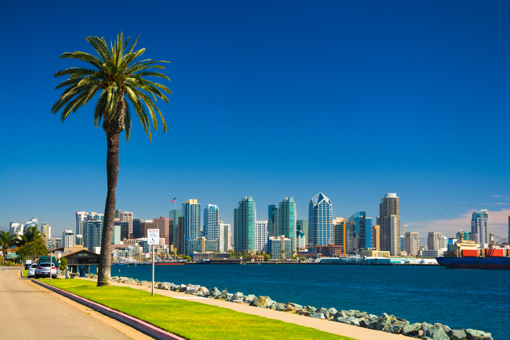 San Diego skyline with Palm Tree, Bay, and Blue Sky