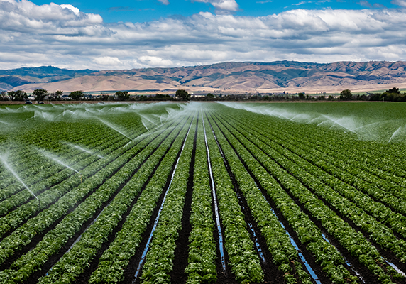 field-irrigation_1096520492_572x400